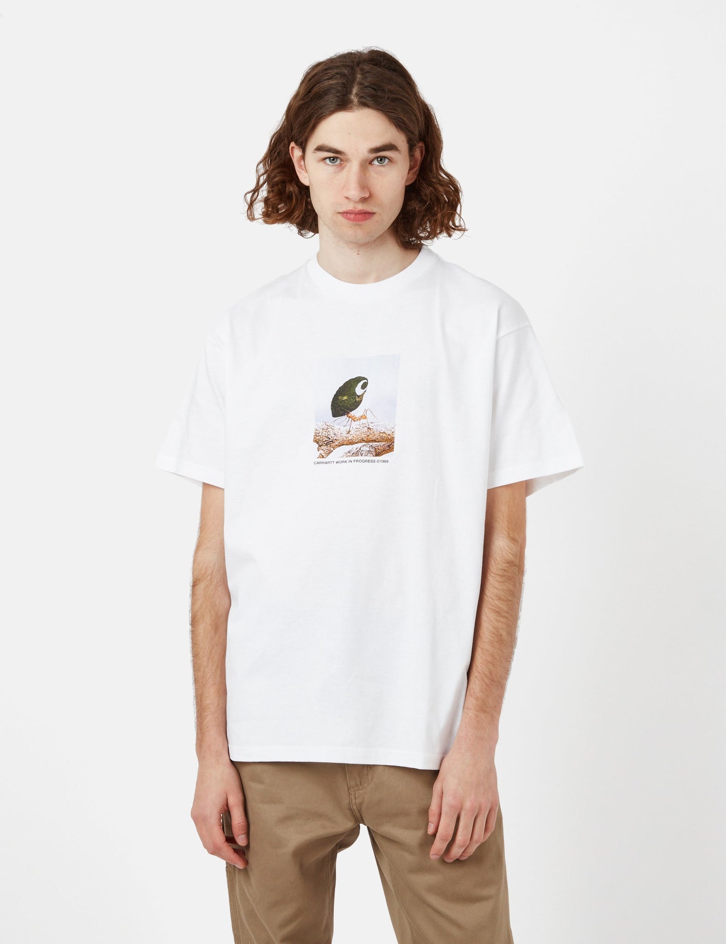 Antleaf T-Shirt (Organic) - Dollar Green