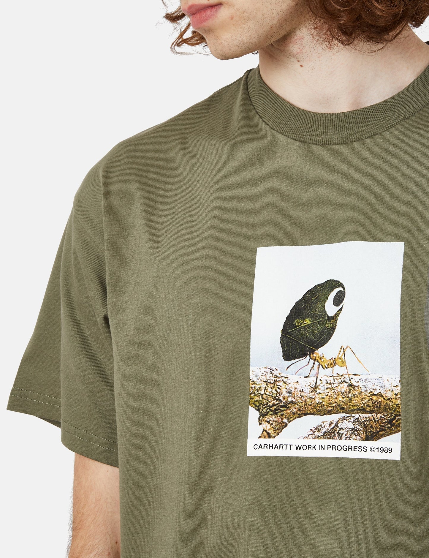 Antleaf T-Shirt (Organic) - Dollar Green